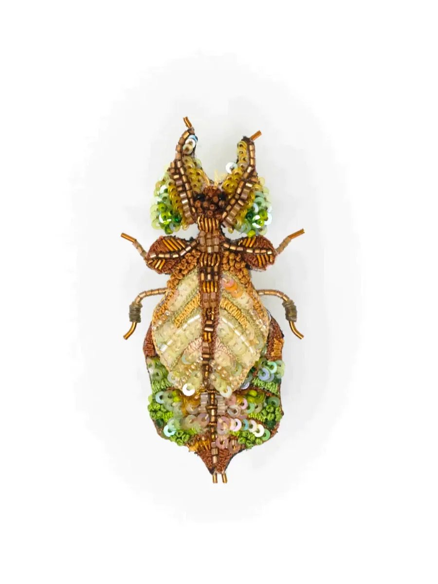 Giant Leaf Insect Brooch Pin