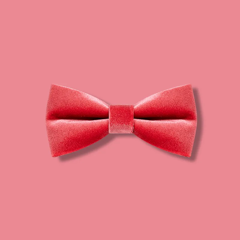 Men's Carmine Solid Color Velvet Bow Tie